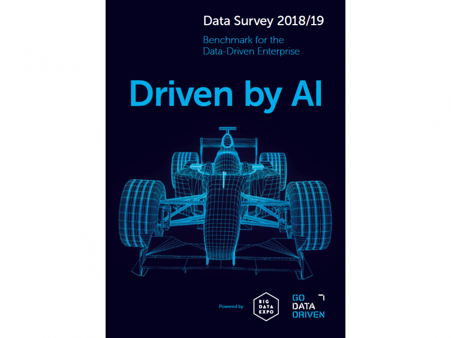 data survey 2019