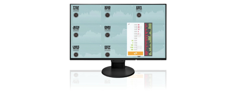 MKB Proof 2017: EIZO FlexScan EV2451