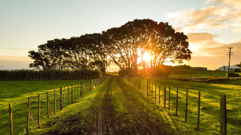 Aanleg glasvezel op platteland in gevaar