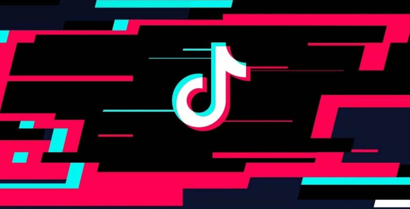 TikTok verzamelt illegaal data van kinderen 