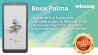 BOOX Palma De smartphone onder de e-readers